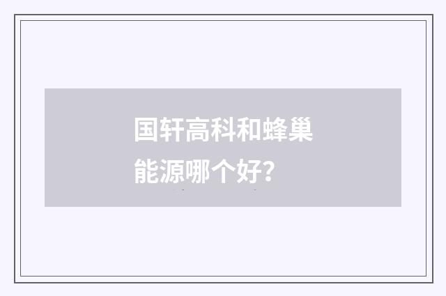 国轩高科和蜂巢能源哪个好?