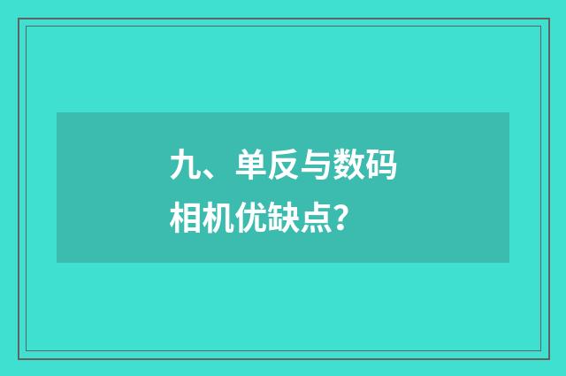 九、单反与数码相机优缺点?