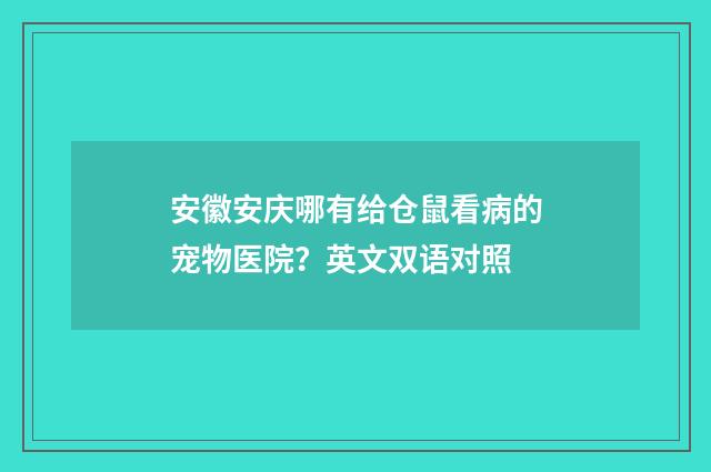 安徽安庆哪有给仓鼠看病的宠物医院?英文双语对照