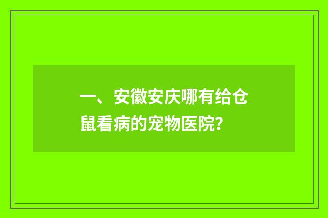 一、安徽安庆哪有给仓鼠看病的宠物医院?