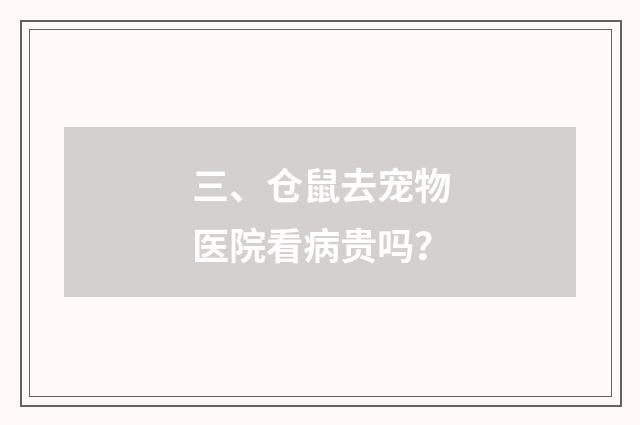 三、仓鼠去宠物医院看病贵吗？