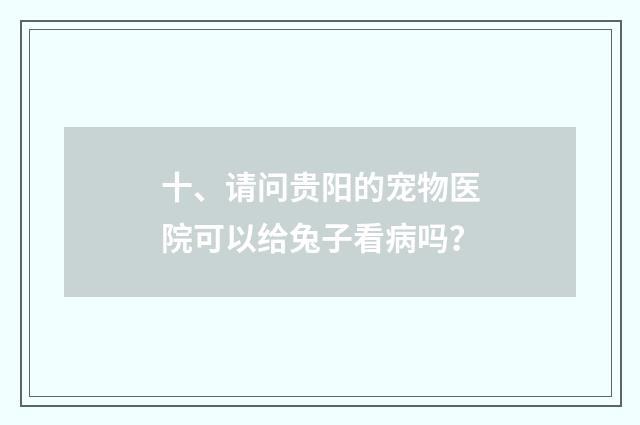 十、请问贵阳的宠物医院可以给兔子看病吗?