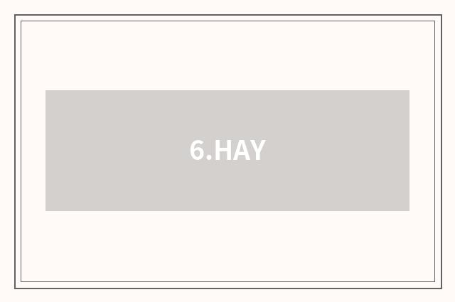 6.HAY