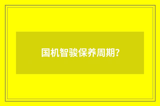国机智骏保养周期?