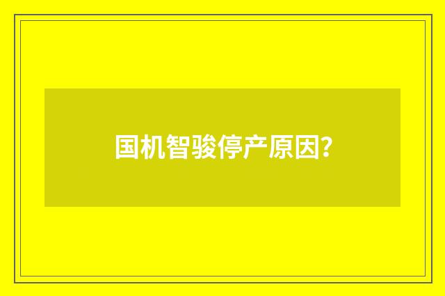 国机智骏停产原因?