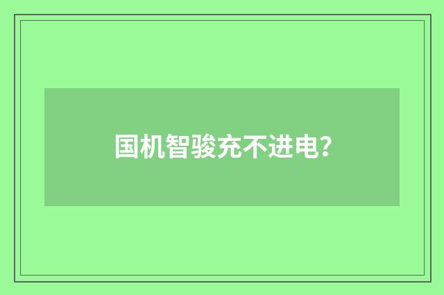 国机智骏充不进电？