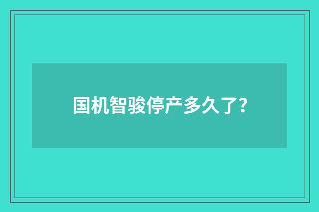 国机智骏停产多久了？