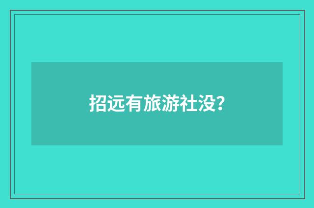 招远有旅游社没?