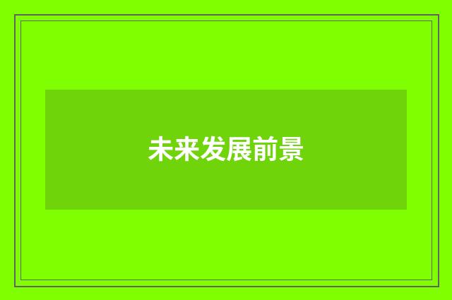 未来发展前景