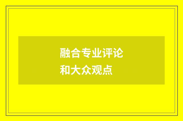 融合专业评论和大众观点