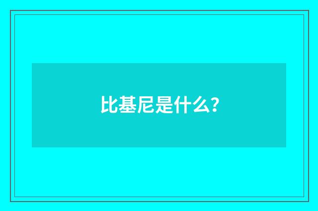 比基尼是什么?