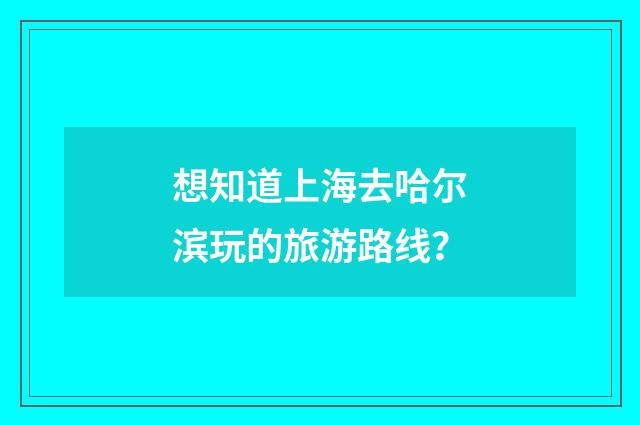 想知道上海去哈尔滨玩的旅游路线？