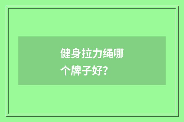 健身拉力绳哪个牌子好？