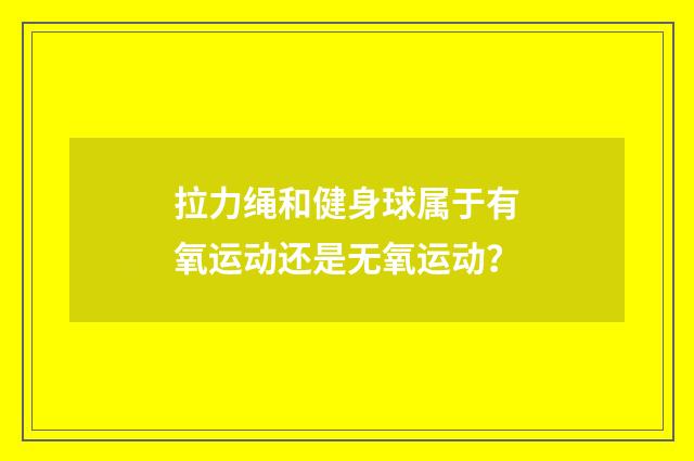 拉力绳和健身球属于有氧运动还是无氧运动?