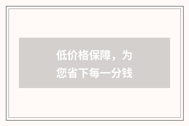 低价格保障,为您省下每一分钱
