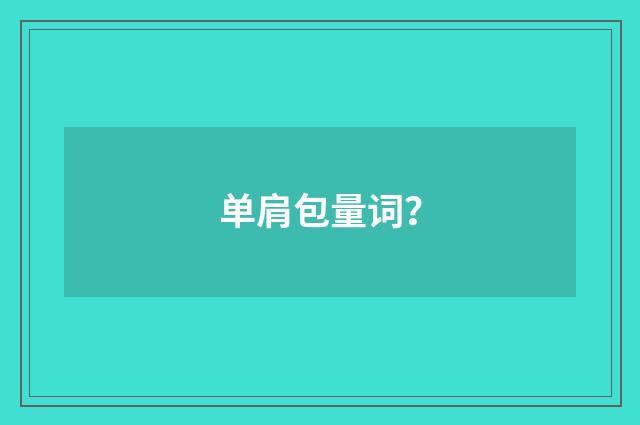单肩包量词?