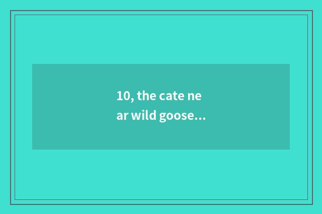 10, the cate near wild goose?