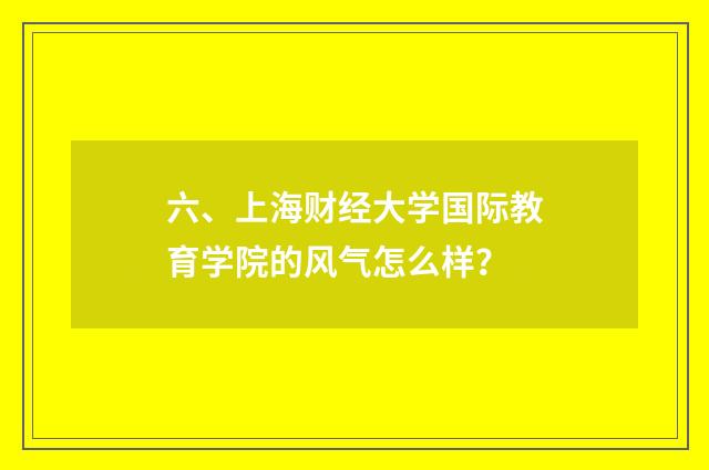 六、上海财经大学国际教育学院的风气怎么样？
