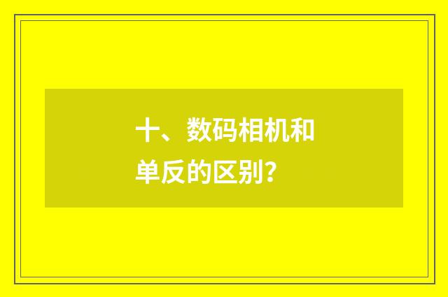 十、数码相机和单反的区别？