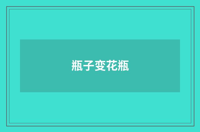 瓶子变花瓶