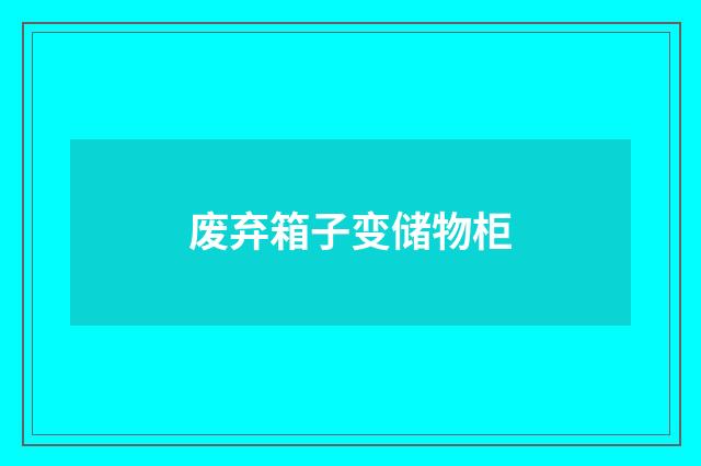 废弃箱子变储物柜