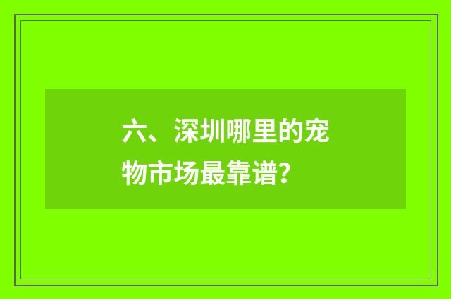 六、深圳哪里的宠物市场最靠谱?
