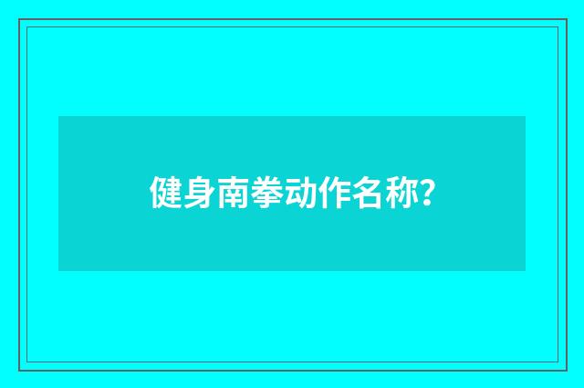 健身南拳动作名称？