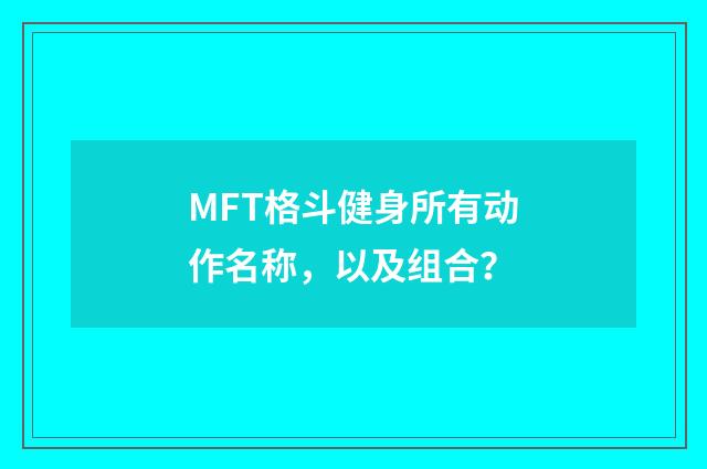 MFT格斗健身所有动作名称，以及组合？