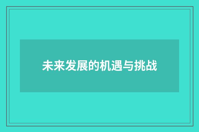 未来发展的机遇与挑战