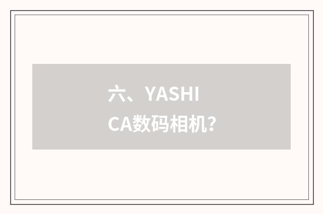 六、YASHICA数码相机?