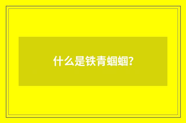 什么是铁青蝈蝈？
