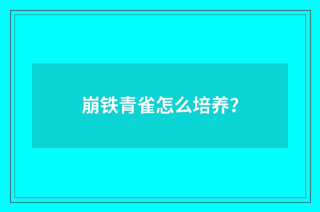 崩铁青雀怎么培养?
