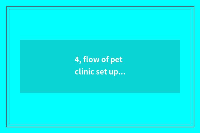 4, flow of pet clinic set up shop?