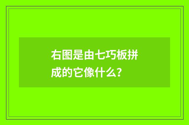 右图是由七巧板拼成的它像什么?