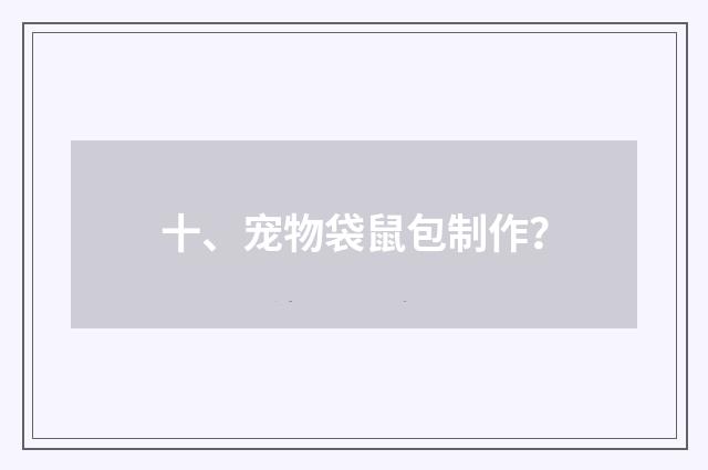 十、宠物袋鼠包制作？