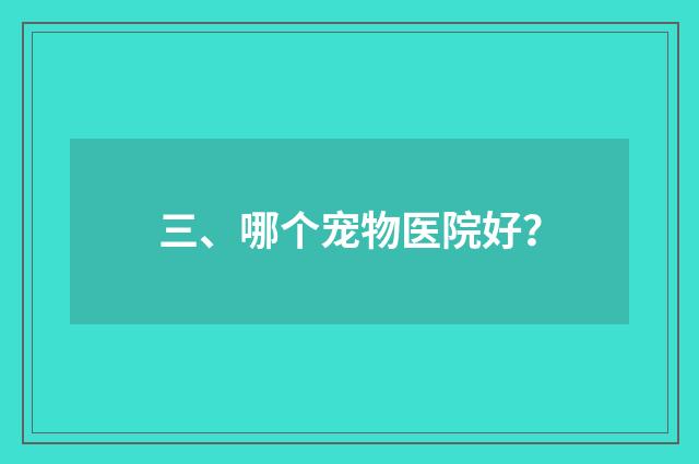 三、哪个宠物医院好?