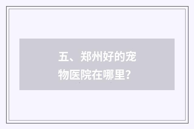 五、郑州好的宠物医院在哪里?
