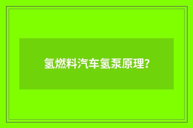 氢燃料汽车氢泵原理?