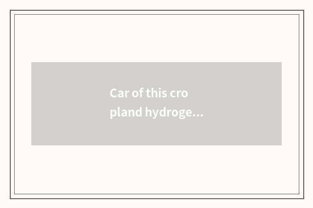 Car of this cropland hydrogen fuel?