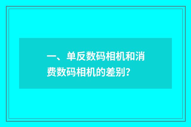 一、单反数码相机和消费数码相机的差别？