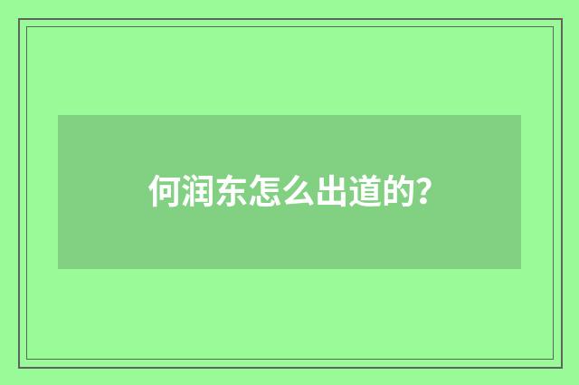 何润东怎么出道的?