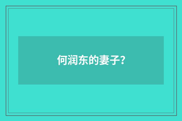 何润东的妻子?