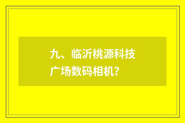九、临沂桃源科技广场数码相机?