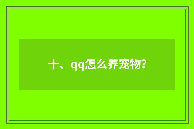 十、qq怎么养宠物?