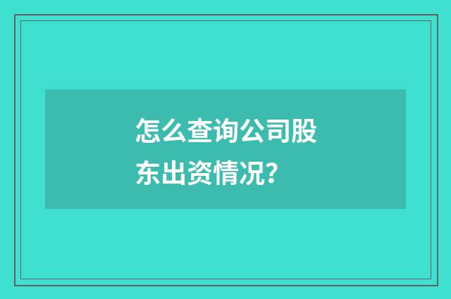 怎么查询公司股东出资情况?