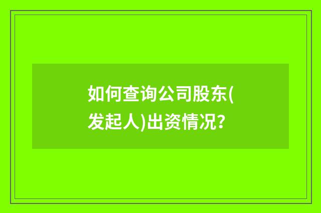 如何查询公司股东(发起人)出资情况?