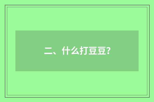 二、什么打豆豆？