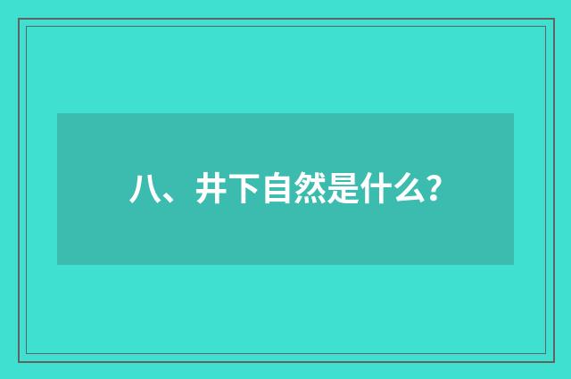 八、井下自然是什么?