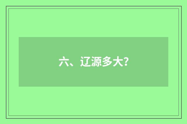 六、辽源多大?