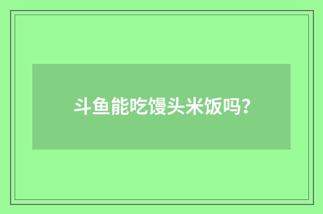 斗鱼能吃馒头米饭吗？
